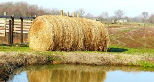 Effects of agricultural regulations up in the air