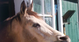 Anti-intellectualism rises on the left anti-intellectualism