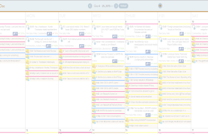 CoSchedule plugin could improve, still crucial for us