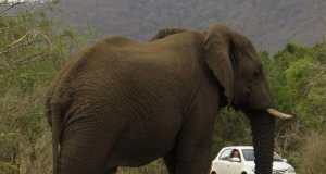 ‘I realized I am not a Republican anymore’ I am not a Republican anymore