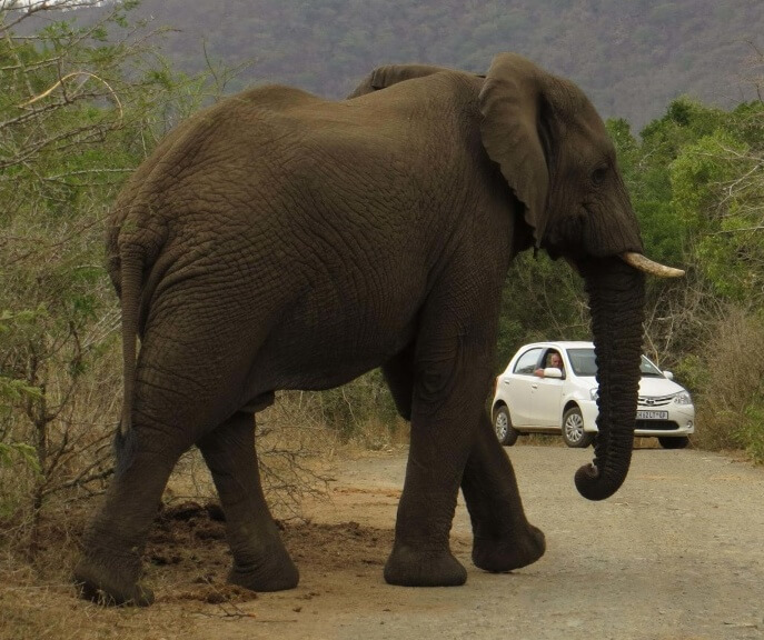 I am not a Republican anymore