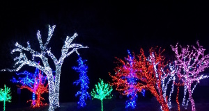 Christmas Eve: Unwrap a few NonDoc presents