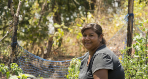 Hunger Relief International promotes the power of food Hunger Relief International