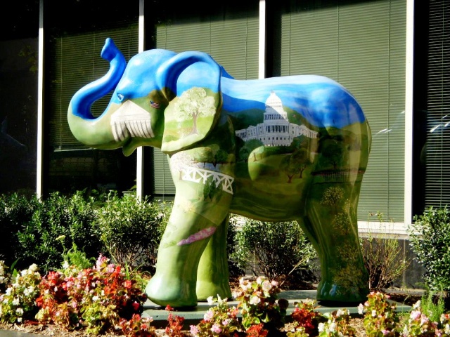 conservative Republican