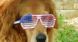 Forget D and R: independent is the hot new label Independent Voters