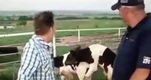 Filter: Pennsylvania’s ‘Porngate’ and ‘yellow dog’ journos Porngate