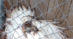 Filter: Candidate snubs media requests, loses election media requests