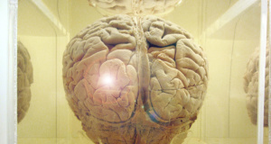 Lack of mental health parity creates ‘walking wounded’ mental health parity