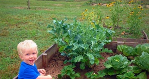 Making the case for school gardens as classrooms school gardens