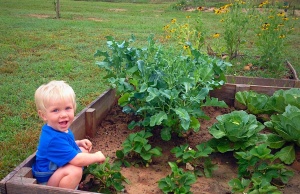 Making the case for school gardens as classrooms school gardens
