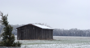 ‘Birthday,’ a short story Shack