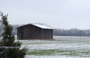 ‘Birthday,’ a short story Shack