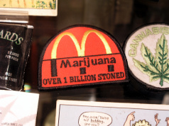 Melting pot: A case study in the meaning of federalism federalism