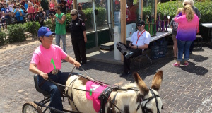 Zebras, donkeys, ostriches and camels: Crowds pack Extreme Racing Day 2016 Extreme Racing Day