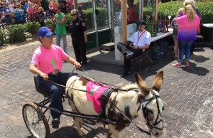 Zebras, donkeys, ostriches and camels: Crowds pack Extreme Racing Day 2016 Extreme Racing Day