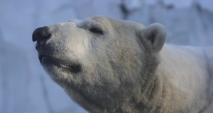 World leaders set to sign global climate change accord climate change