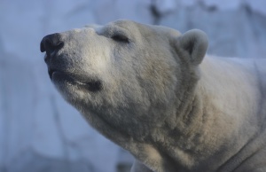 World leaders set to sign global climate change accord climate change