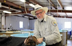Alligator snapping turtle making a comeback thanks to Tishomingo National Fish Hatchery National Fish Hatchery