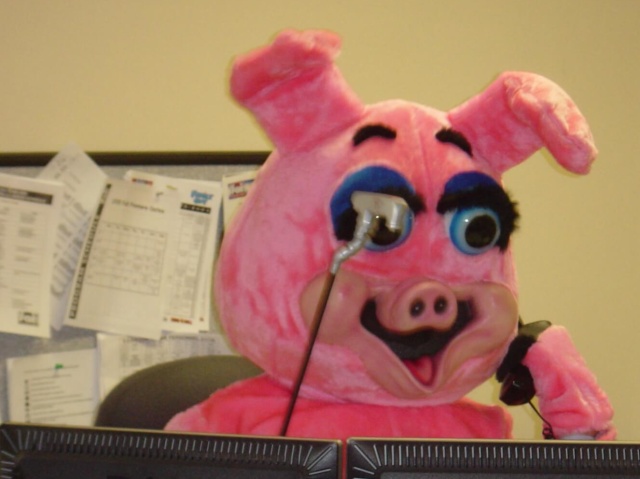 Rachel from cardholder services