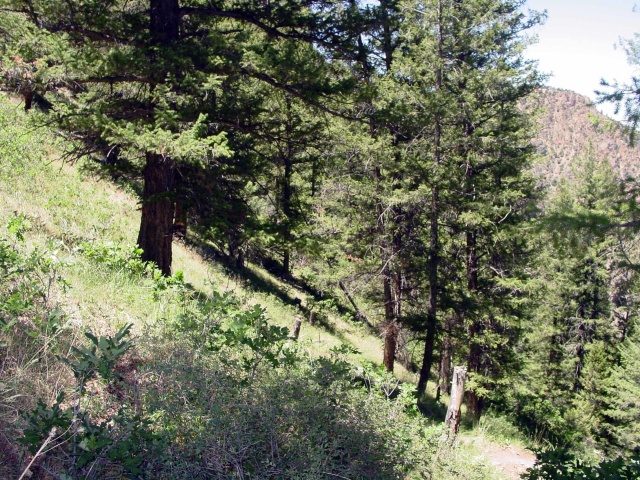 Black Canyon of The Gunnison