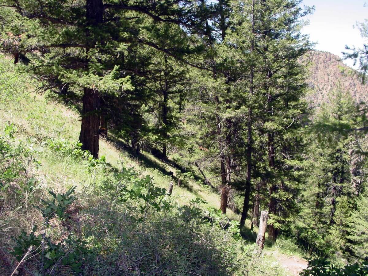 Black Canyon of The Gunnison