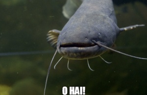 FTW: Autism coverage, budget balancing and catfishing catfishing