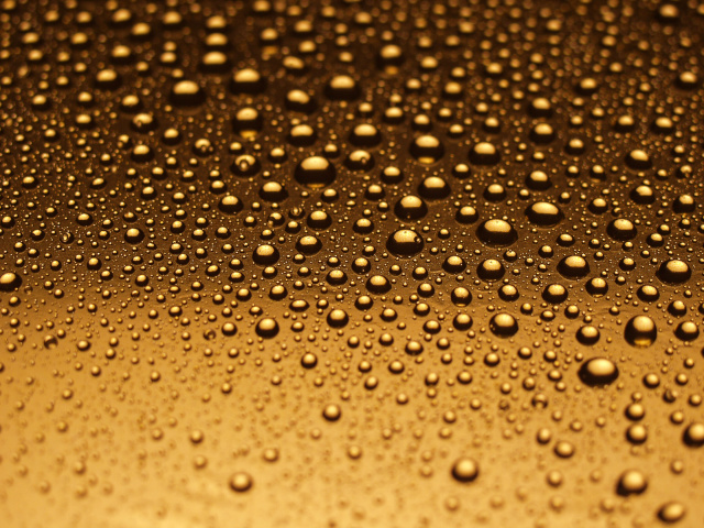 alcohol modernization