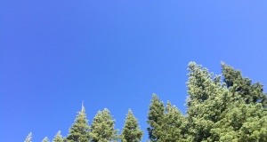 ICYMI: Evergreen links from NonDoc’s first eight months Evergreen