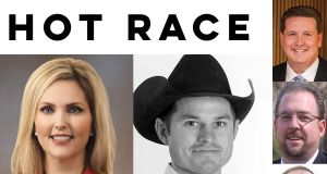 Fmr. beauty queen, reality-TV star among SD 13 hopefuls SD 13