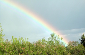 A rainbow landing at the lap of the Himalayas rainbow landing