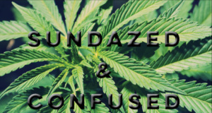 Sundazed: Medical marijuana and the Drug War drug war