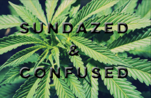 Sundazed: Medical marijuana and the Drug War drug war