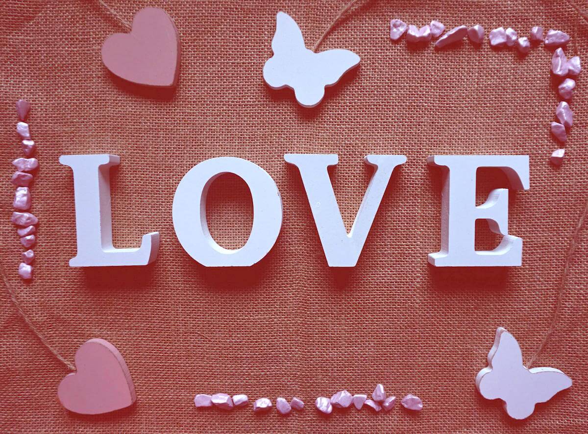 Love is for the birds