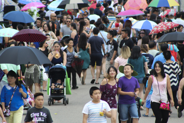 Asian-American voter turnout