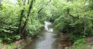 Photos: Water, water, everywhere … water