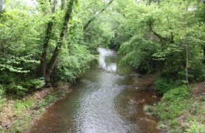 Photos: Water, water, everywhere … water