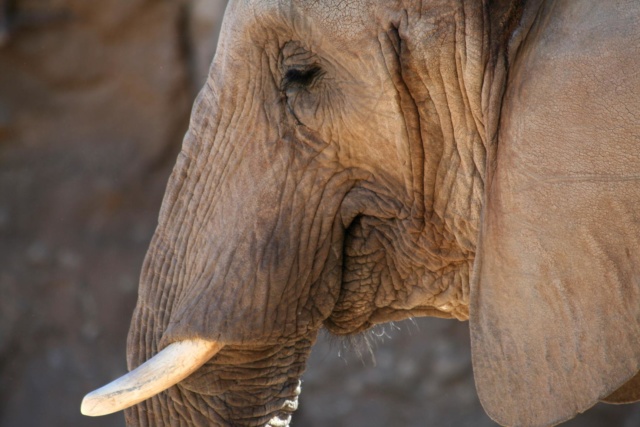 GOP praised Hillary Clinton