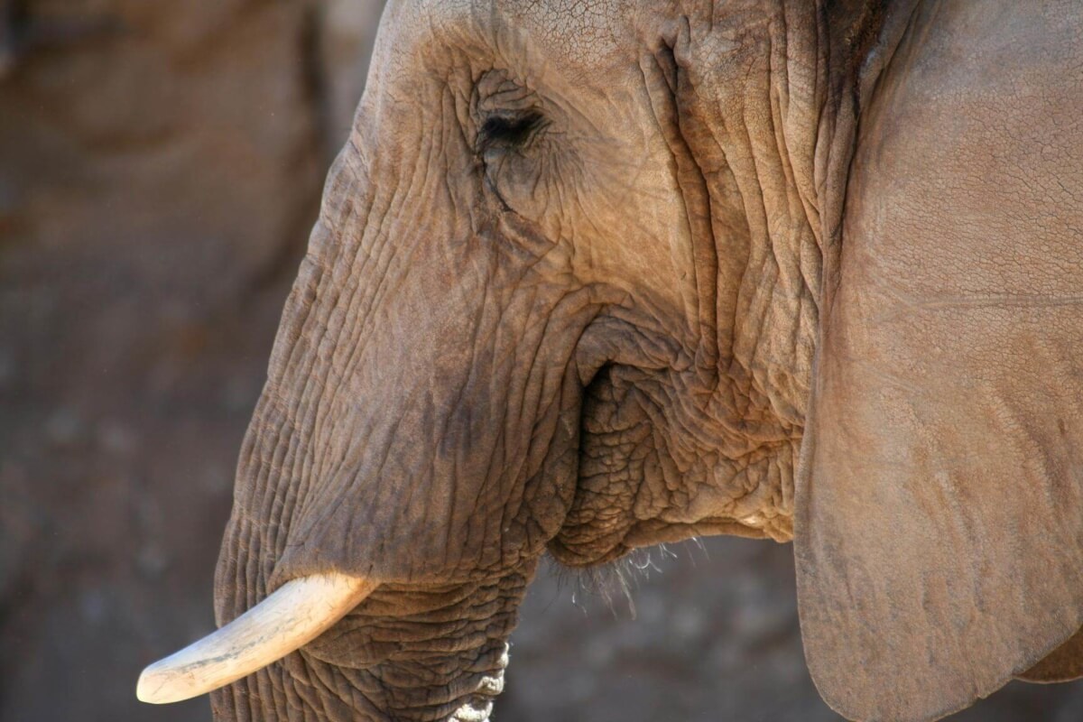 GOP praised Hillary Clinton