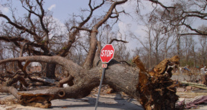 The man set free by Hurricane Katrina Hurricane Katrina