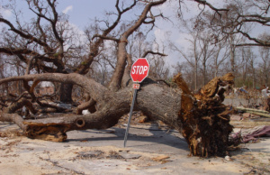 The man set free by Hurricane Katrina Hurricane Katrina
