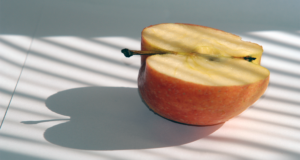 You can count an apple’s seeds but not the seed’s apples seeds