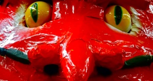 In this presidential election, better the devil you know … presidential election