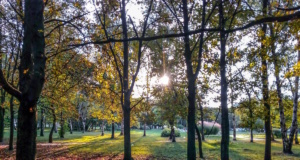 Sundaze poem: The Autumn Solstice Autumn Solstice