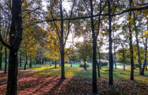 Sundaze poem: The Autumn Solstice Autumn Solstice