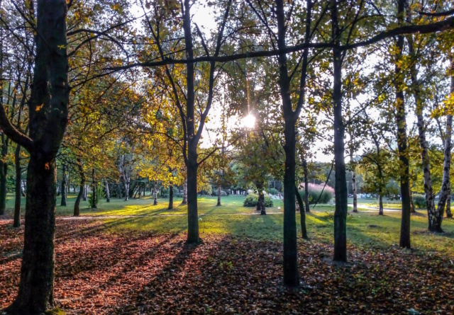 fall Autumn Solstice