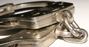 SQ 780, 781: Economic reality versus criminal potential SQ 780