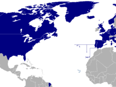 Kierig: Trump’s win threatens NATO alliances, trust NATO