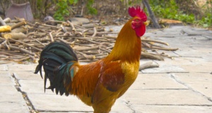 You said it: NonDoc’s best quotes of 2016 best quote of 2016