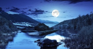 ‘Peddle your gussied-up science denialism elsewhere’