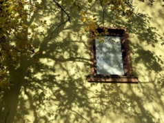 The dancing shadows: ‘All we hear is … silence’ The dancing shadows